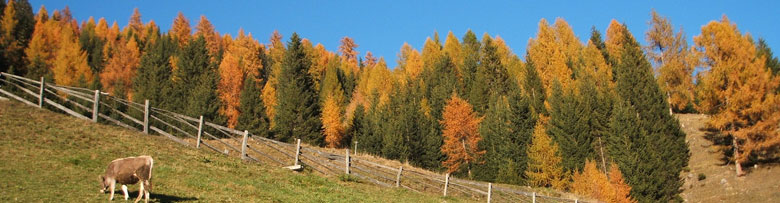 Bauernhof / Agriturismo